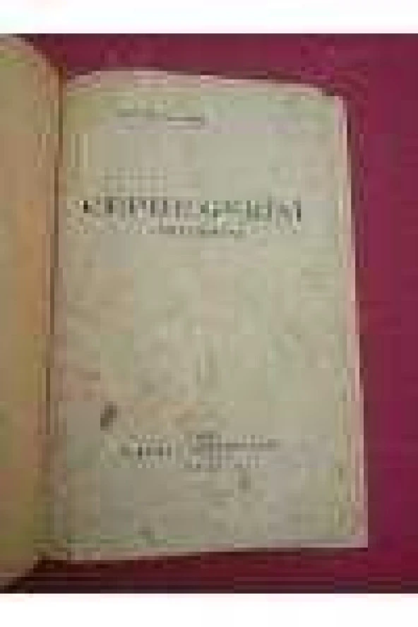 CEPHE GERİSİ   /   Milli Roman