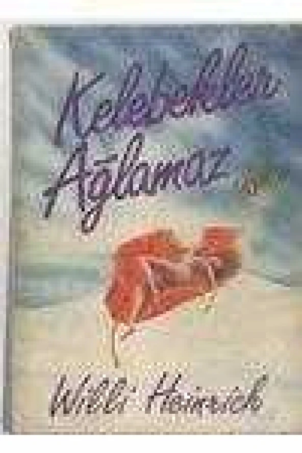 KELEBEKLER AĞLAMAZ  /  Birinci Baskı