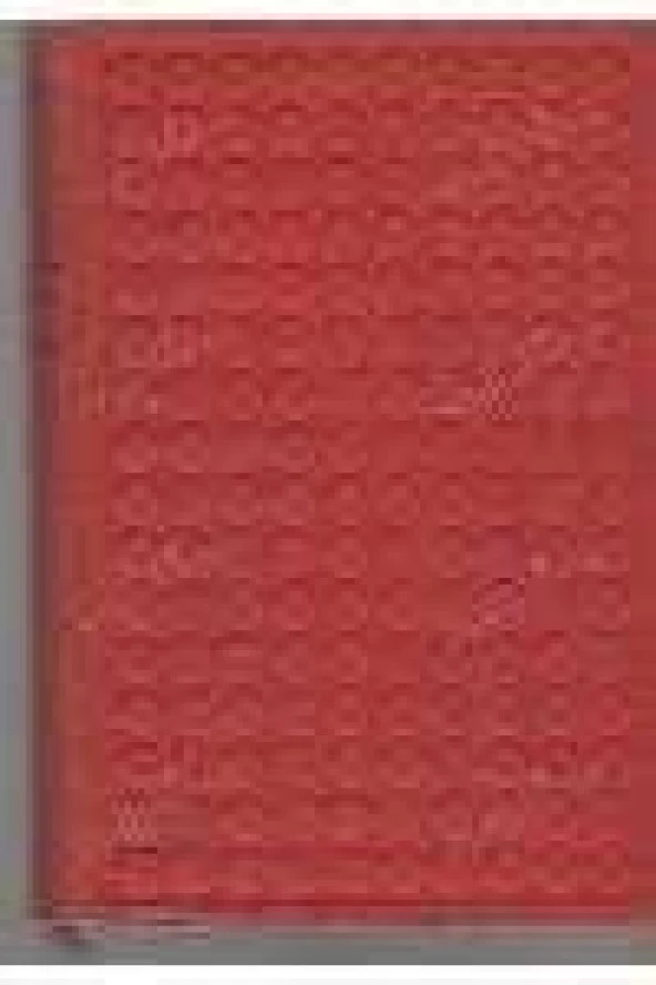 ELE GEÇMEZ   /   ANJELİK   ( CİLT: III )