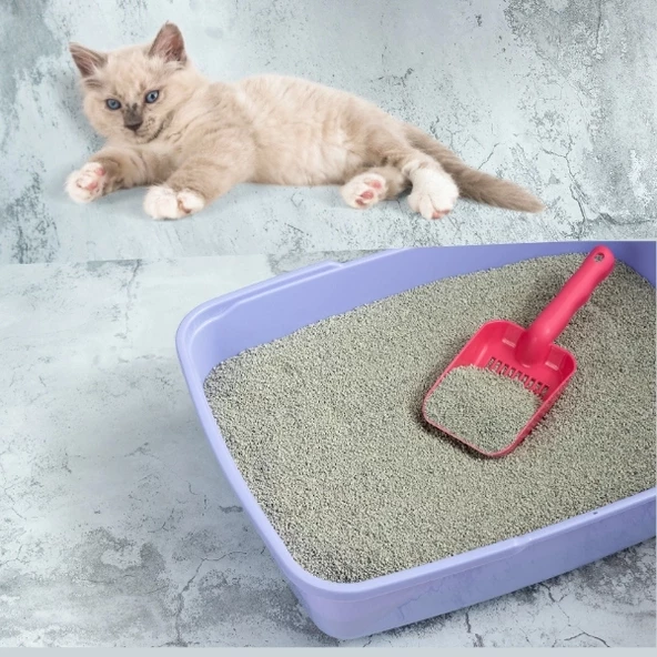 Evcil Hayvan Kedi Kum Küreği - 3