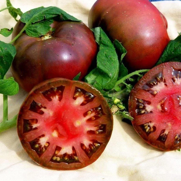 Black From Tula Siyah Kırmızı Domates Tohumu (15 tohum) ürün görseli