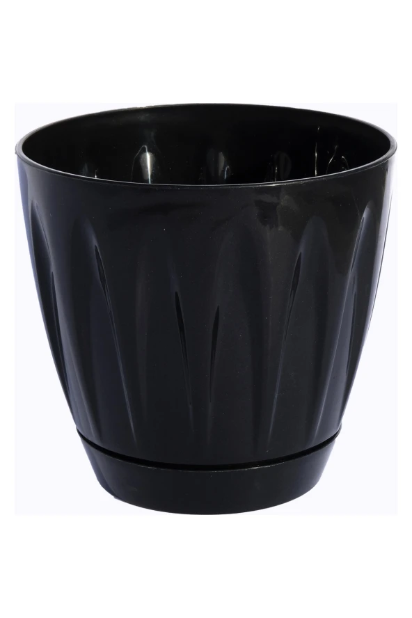 SERİNOVA 1 NO PAPATYA SAKSI SİYAH TK.0,7 LT.