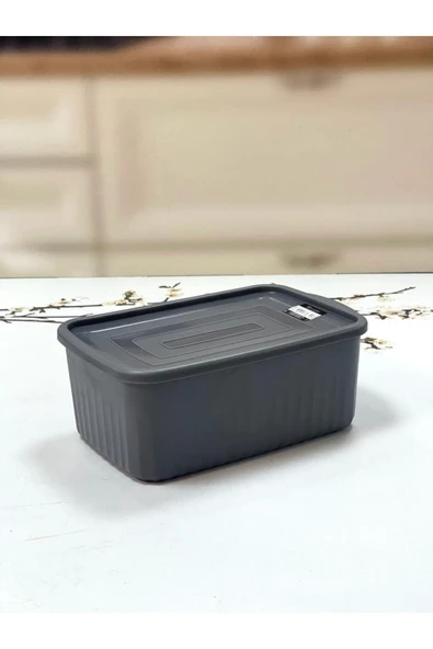 Vip Vps-020 Rüya Derin Küçük 2,7l Saklama Kabı - 2
