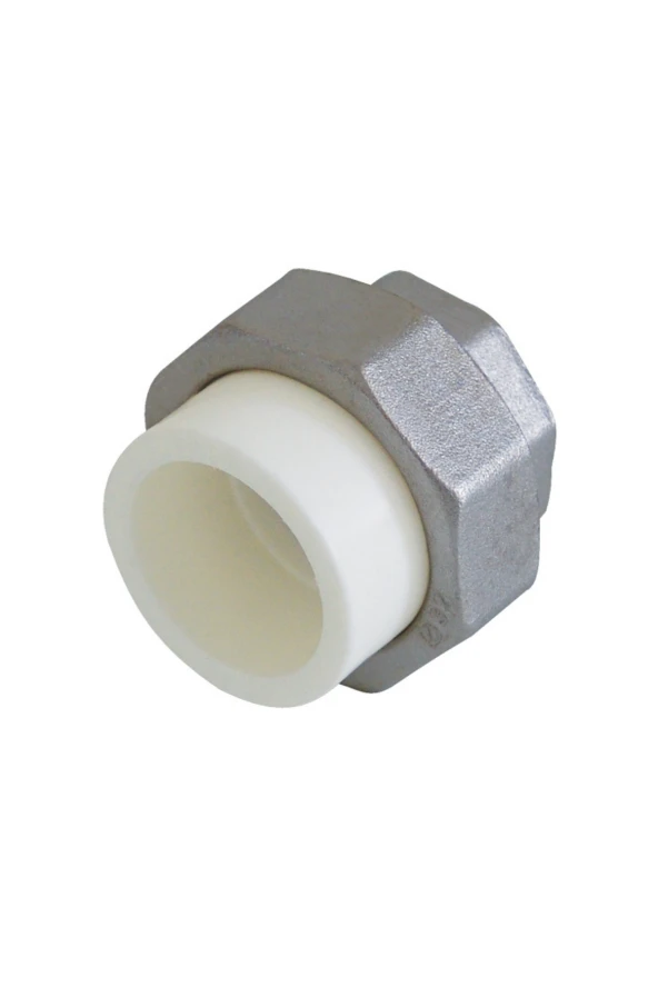 KALDE OYNAR BAŞLI RAKOR DİŞİ Q25X3/4 BEYAZ