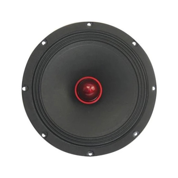 Roadstar RDH-M200PRO 250 Watt 20 cm Oto Hoparlör 2li Takım