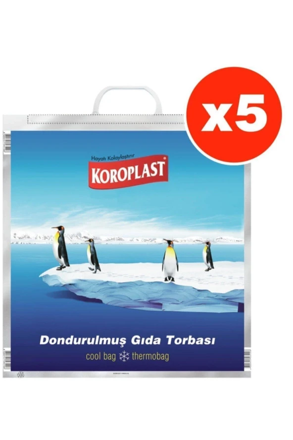 Dondurulmuş Gıda Torbası X 5 Adet (50*52 CM)