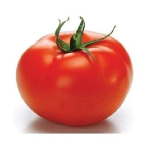 Sc2121 Domates Tohumu (20 tohum) ürün görseli