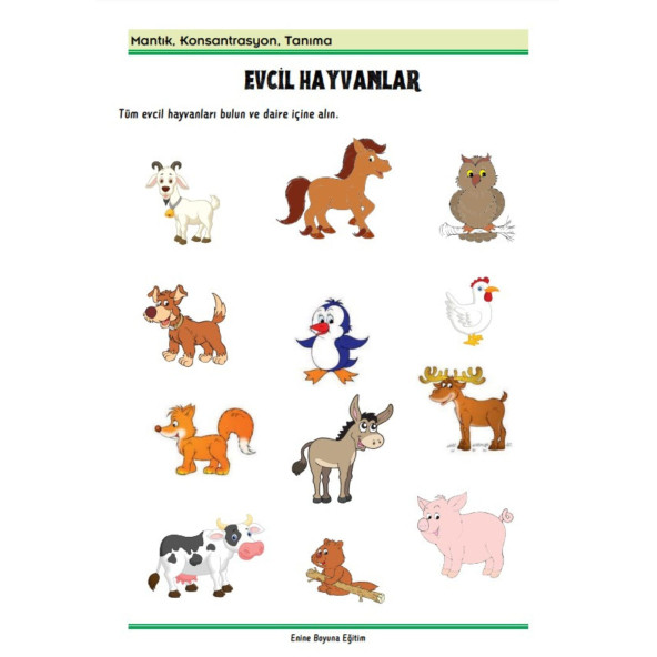 Beyin Egzersizleri Kitap Seti (2 Kitap) - 6