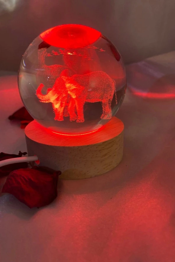 3D Led Işık Cam Küre Çok Işıklı Ahşap Fil ler 6 cm