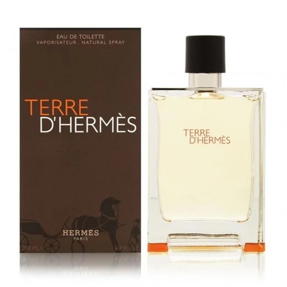 Hermes Terre D'Hermes EDT 200 ml Erkek Parfüm