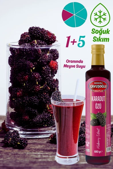Doğal ve Katkısız Karadut Özü 680g - 4