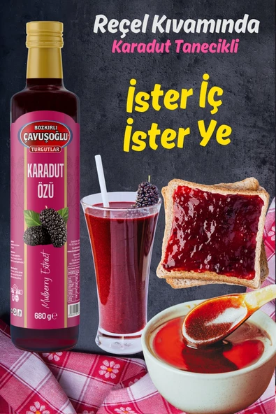 Doğal ve Katkısız Karadut Özü 680g - 3