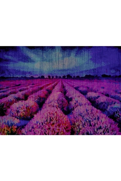 Mor Çiçek Tarlası Canvas Tablo (50x70) - Resim 2