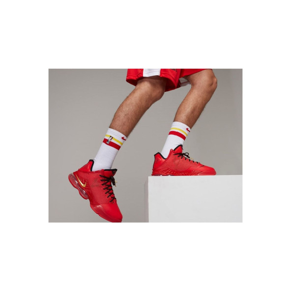 Nike Lebron 19 Low Xıx Erkek Basketbol Ayakkabısı DO9829-600