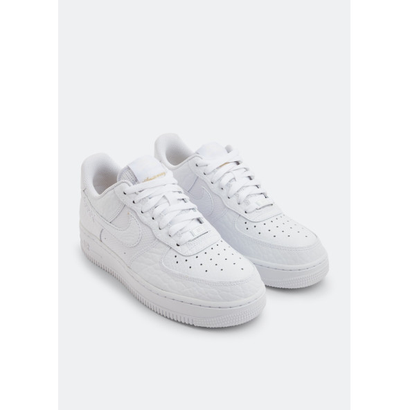 Nike Air Force 1 Low Color of the Month DZ4711-100