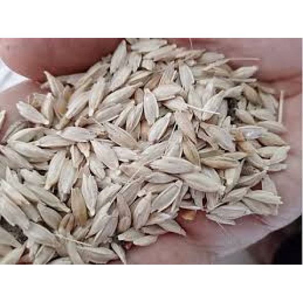 Kastamonu Siyez Buğdayı Kabuklu 5 kg