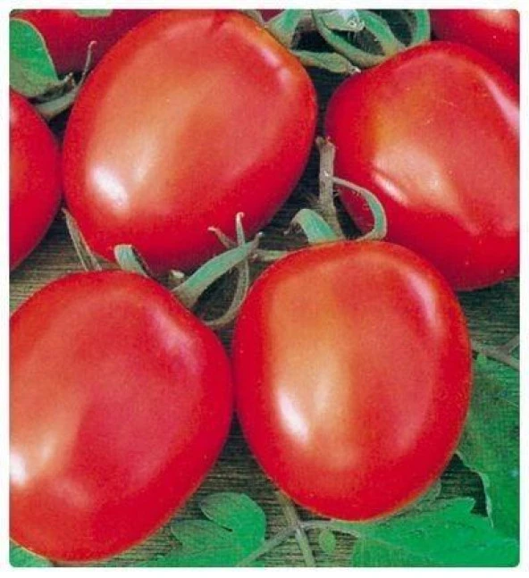Doğal Beefsteak Domates Tohumu (20 adet)