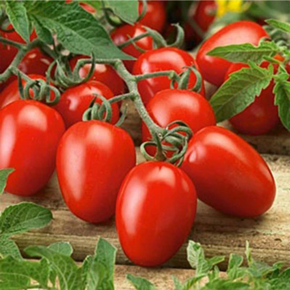 Rio Grande Domates Tohumu (2 gram) ürün görseli