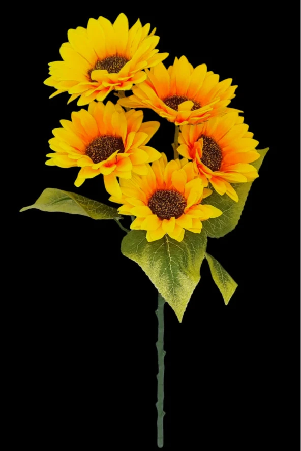 Yapay Ayçiçeği Sunflower Bitki Demeti .. Pampas Sarmaşık Ayçiçek Sarkan Ay Çiçeği Lale Yağı Kuru Gul