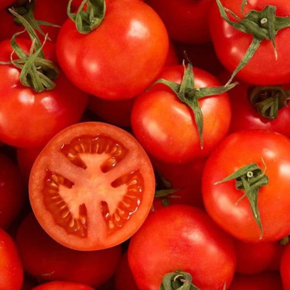 Falcon Domates Tohumu (2 gram) - Resim 2