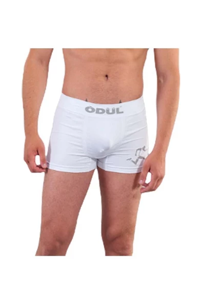 ÖDÜL 2073-3 ERKEK BOXER BEYAZ 3 LÜ