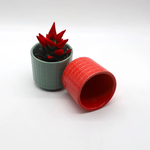 Tardan 2'li Sukulent Kalachoe Kaktüs Saksı Seti - 2