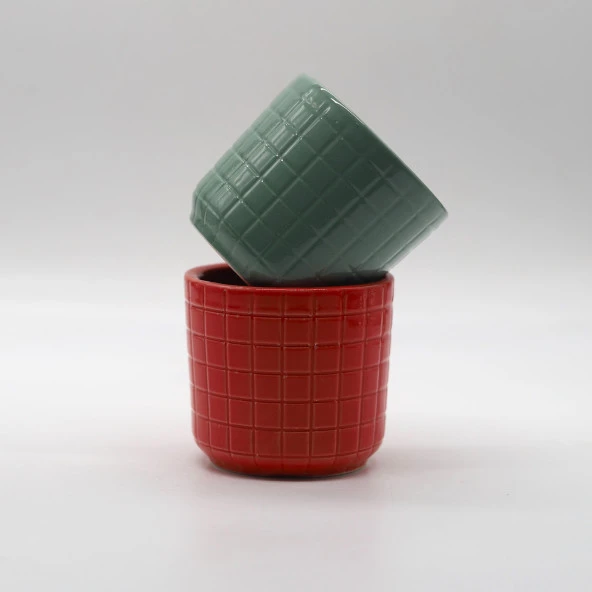 Tardan 2'li Sukulent Kalachoe Kaktüs Saksı Seti - 3