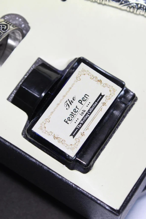 Tüy Divit Antik Kaligrafi Kalem Mürekkep Seti ve 5 Farklı Uç RM2101 - 2