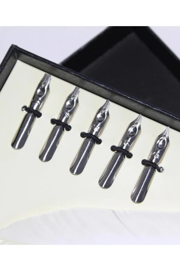 Tüy Divit Antik Kaligrafi Kalem Mürekkep Seti ve 5 Farklı Uç RM2101 - 3