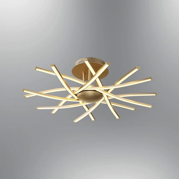 LD-5107-8PG LEDLİ PLAFONYER - Resim 2