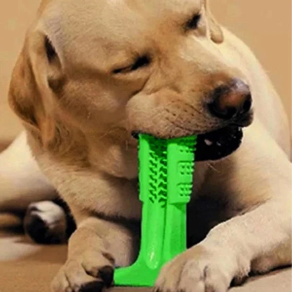 Köpek Diş Temizleyici ve Kaşıyıcı Sağlıklı Küçük Boy Oyuncak (4453)