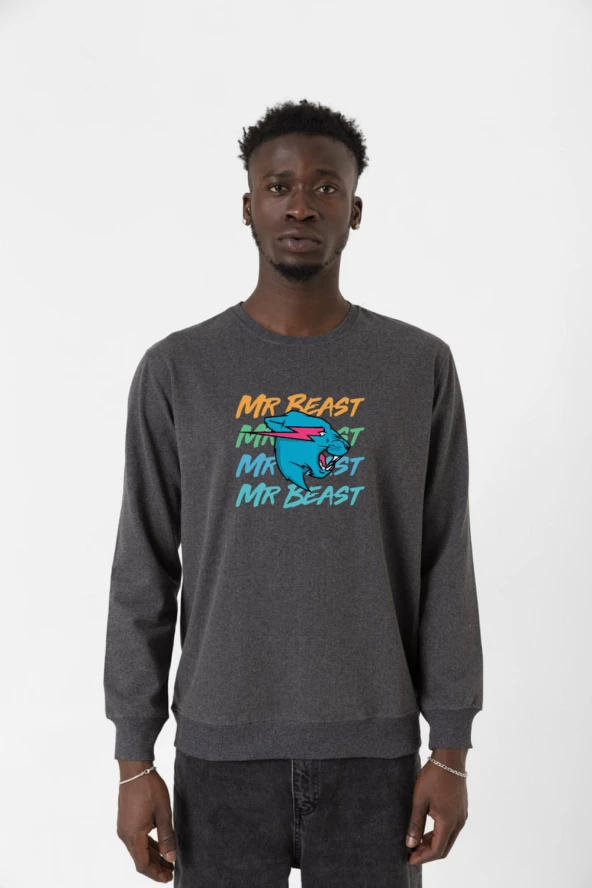 Mr Beast Lettern Füme Erkek 2ip Sweatshirt
