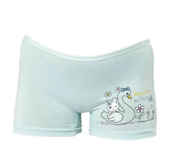 KOTA 3409 KIZ ÇOCUK RENKLİ BASKILI BOXER 12 ADET - 4