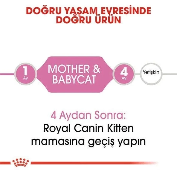 Royal Canin Mother&BabyCat 2 Kg Yavru Kuru Kedi Maması - 4