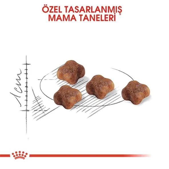 Royal Canin Mother&BabyCat 2 Kg Yavru Kuru Kedi Maması - 5