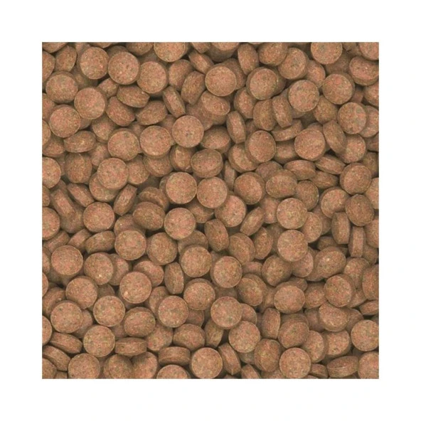 Tropical Supervit Tablet B 20 gr (Açık) 100 Tablet Kilitli Poşette Gönderilir  Skt: 01/2027 - Resim 2