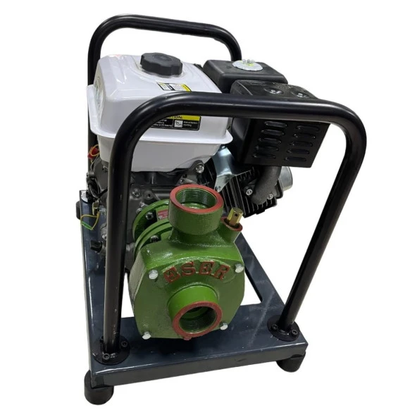 Gardenpro WP-20/165H Yüksek Basınçlı 3 Fanlı Su Motoru 165 mt 9 Hp - 2