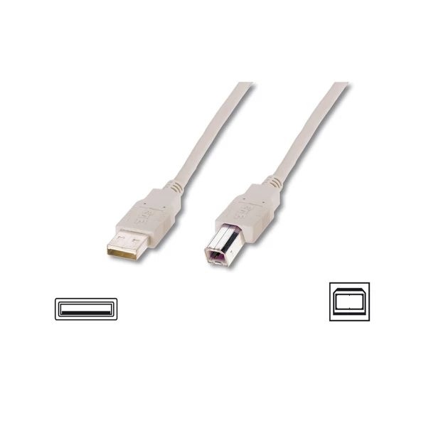 USB 2.0 Bağlantı Kablosu, USB A Erkek - USB B Erkek, 3 metre, AWG 28, UL, bej renk