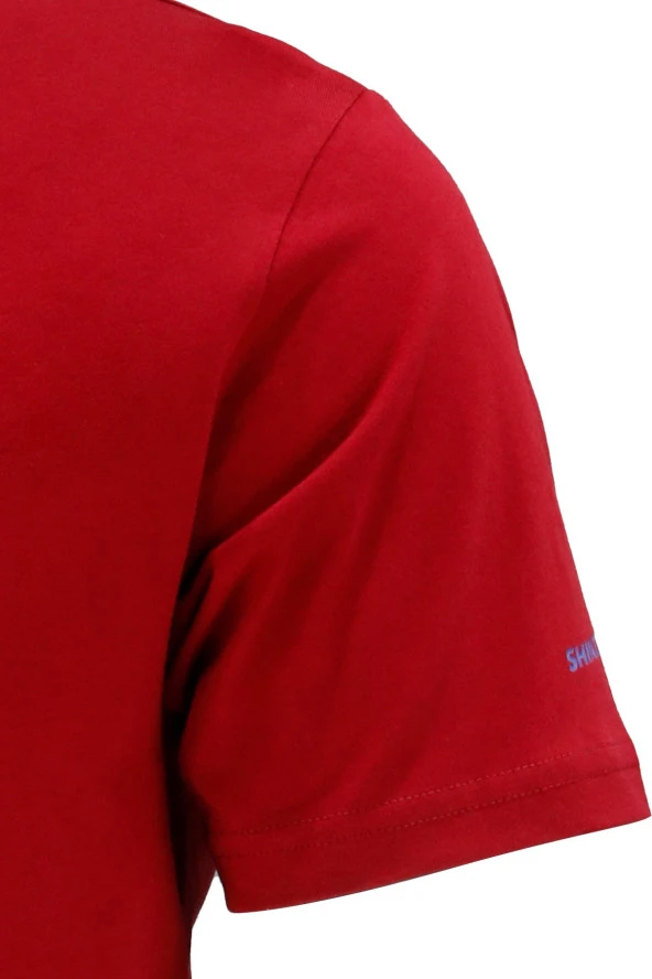 Erkek Bisiklet Yaka Standart Fit Discovery Göğüs Baskılı Bordo T-Shirt - Resim 3