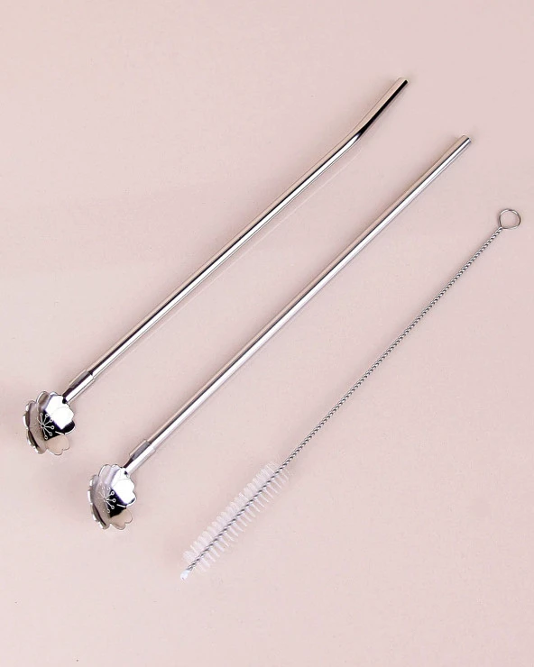 Paslanmaz Metal 2 li Kaşıklı Pipet Fırça Seti - 4