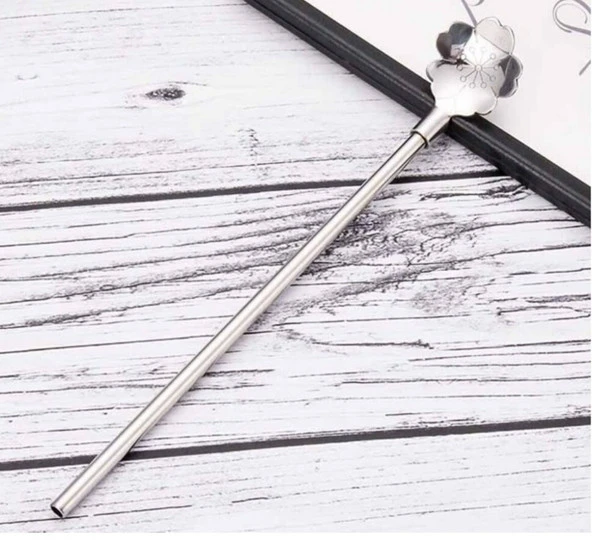 Paslanmaz Metal 2 li Kaşıklı Pipet Fırça Seti - 5