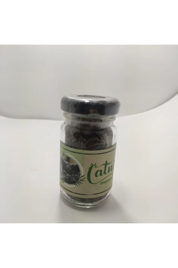 Catnip Doğal Kedi Otu - Kedi Nanesi - 4