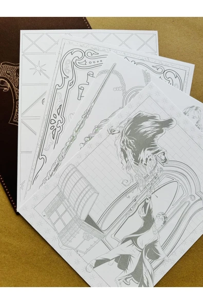 Harry Potter Poster Boyama Koleksiyonu - 4