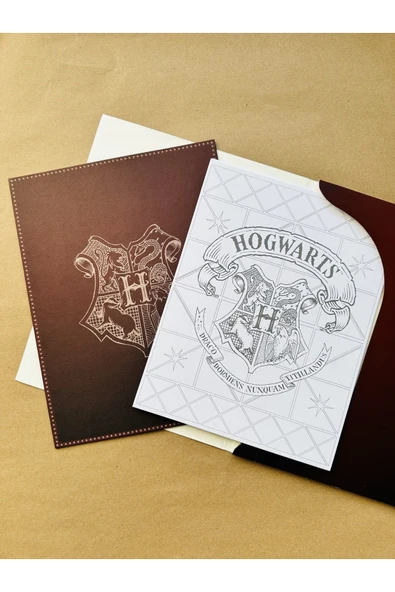 Harry Potter Poster Boyama Koleksiyonu - 2