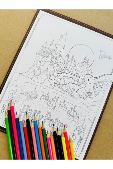 Harry Potter Poster Boyama Koleksiyonu - 5