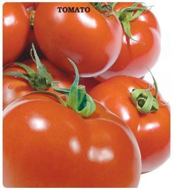 SC-2121 Domates Tohumu (2gram) ürün görseli 1