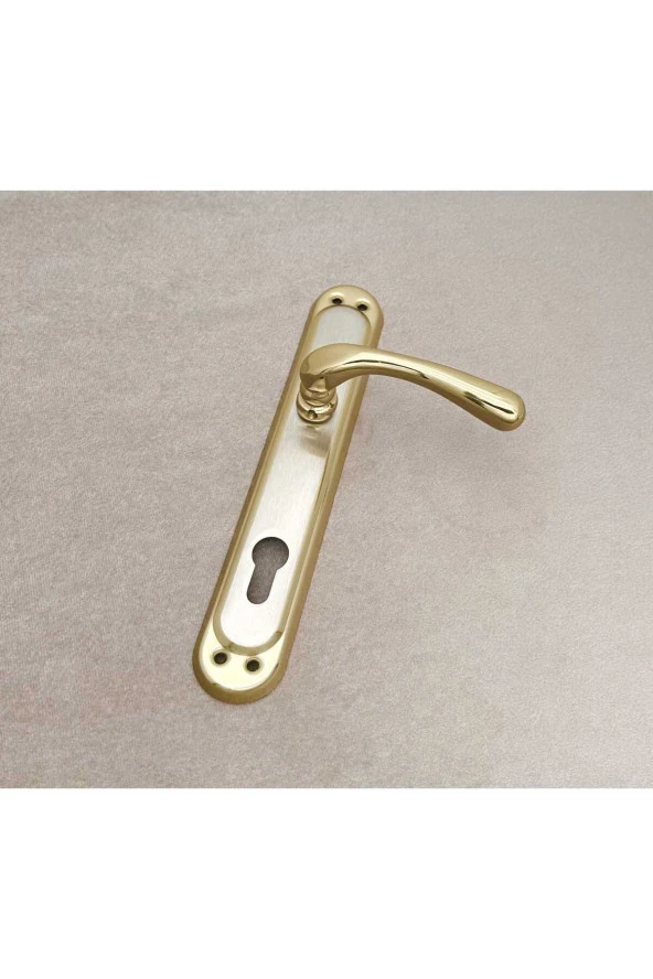 Kumru Titanyum Saten Aynalı Yale Çelik Kapı Kolu + Kapı Babası Sağ Basar Tek Yön - Resim 2