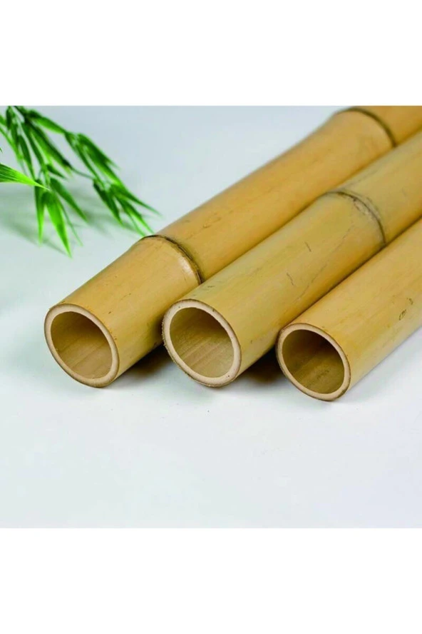 Bygolden Çubuk Doğal Bambu 100 Cm Boyunda 30 Adet