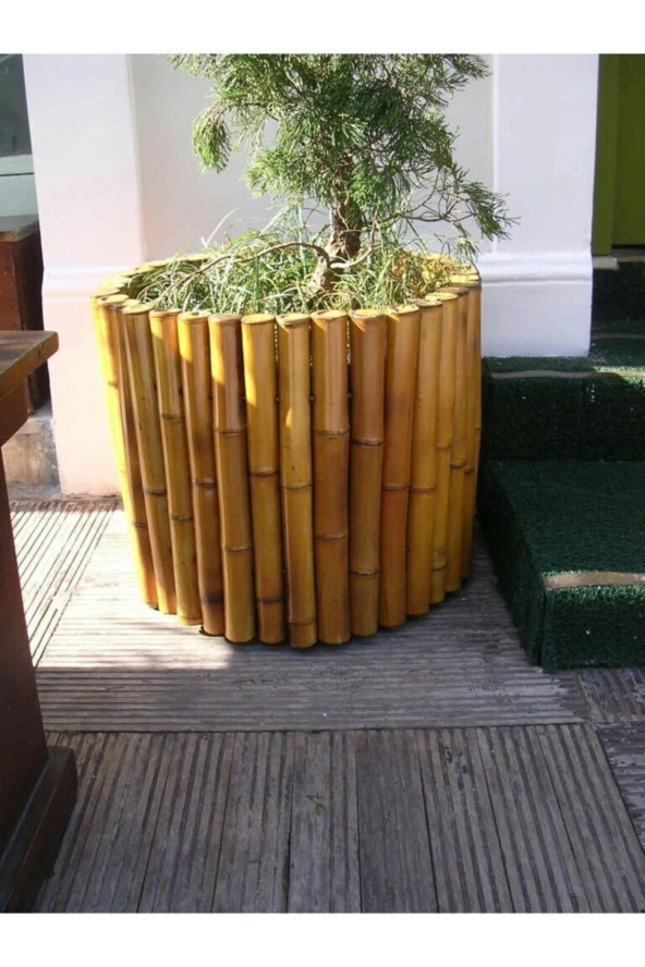 Bygolden Bambu Çubuk Doğal Bambu 40 Cm Boyunda 30 Adet