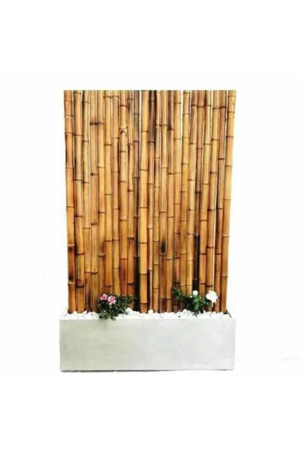 Bygolden Bambu Çubuk Doğal Bambu 120 Cm Boyunda 30 Adet